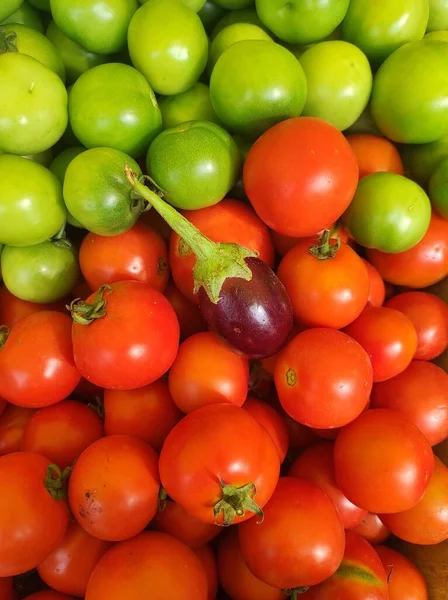 Överblick Över Gröna Och Röda Tomater Och Aubergine — Stockfoto