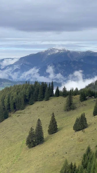 Ландшафт Деревьев Небрежной Зелени Semmering Австрийские Холмы Снежными Горами — стоковое фото