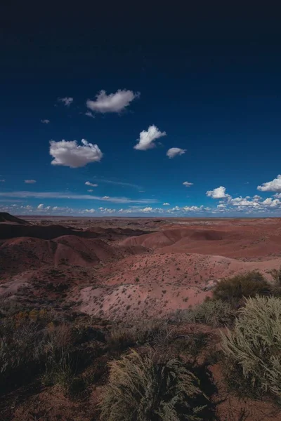 青い空を背景に アリゾナ州の美しい国有林の垂直方向の景色 — ストック写真