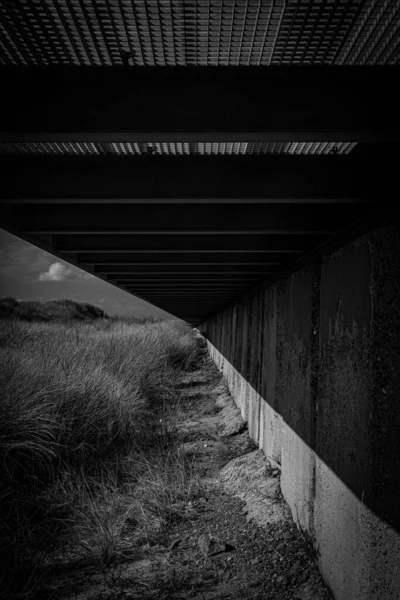 Вертикальний Сіро Коричневий Знімок Трави Під Мостом — стокове фото