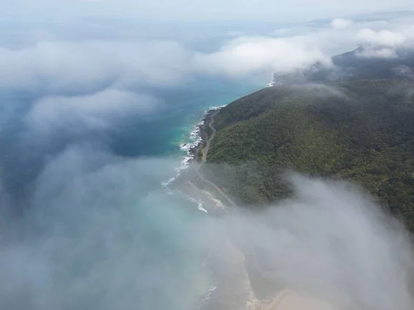 Вид Воздуха Океан Пляжем Окружении Плотных Деревьев — стоковое фото
