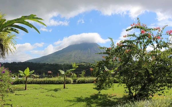 Eine Schöne Grüne Wiese Mit Frischem Grün Und Vulkanbergen Hintergrund — Stockfoto