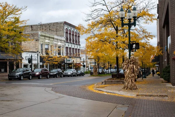 Kuzey Michigan Petoskey Sonbaharda Güzel Bir Cadde Manzarası — Stok fotoğraf