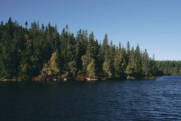 Jezioro Svartdal Drzewa Leśne Tle Jesienią Totenaasen Hills Oppland Norwegia — Zdjęcie stockowe