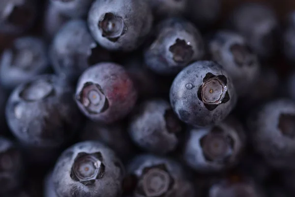 成熟的黑蓝莓的精选焦点 — 图库照片