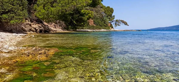 希腊卡拉马基古城水晶般清澈的大海中岩石上的海藻美景 — 图库照片