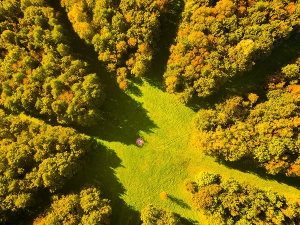 Fågelperspektiv Gröna Grönskande Träden Parken Solig Dag — Stockfoto
