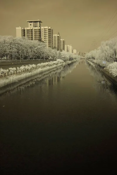建物に囲まれた川の垂直ショット — ストック写真
