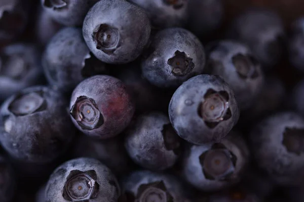 成熟的黑蓝莓果实的选择焦点 — 图库照片