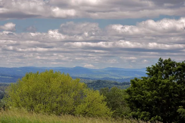 リトルトンの曇り空の下で白い山と緑の木々の美しい風景 — ストック写真