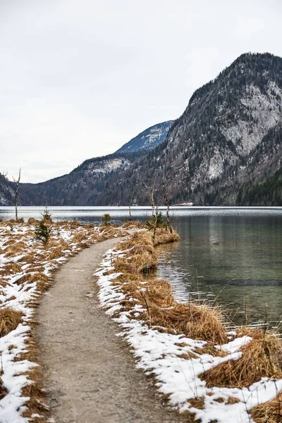 Dlouhá Cesta Trávou Jezera Konigssee Berchtesgadenu Německu Zimě — Stock fotografie