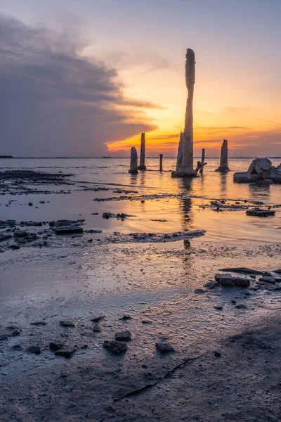 日没時の海の垂直ショット — ストック写真