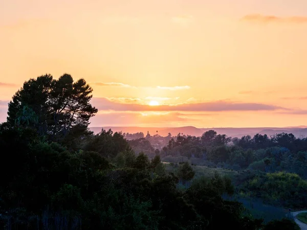 Een Schilderachtig Uitzicht Heuvels Bedekt Met Groene Bomen Bij Zonsondergang — Stockfoto