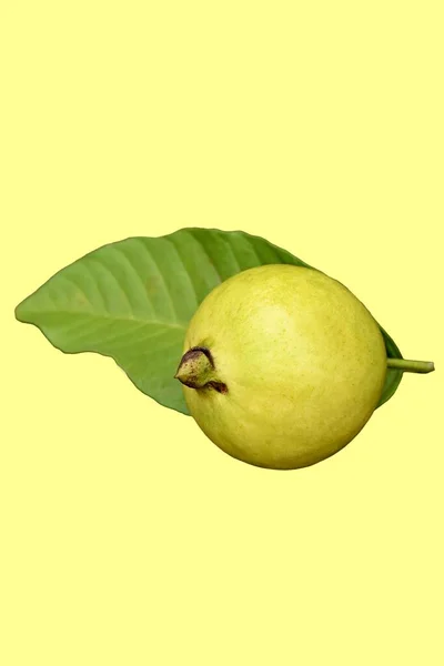 Sarı Arka Planda Izole Edilmiş Sıradan Bir Guava Nın Dikey — Stok fotoğraf
