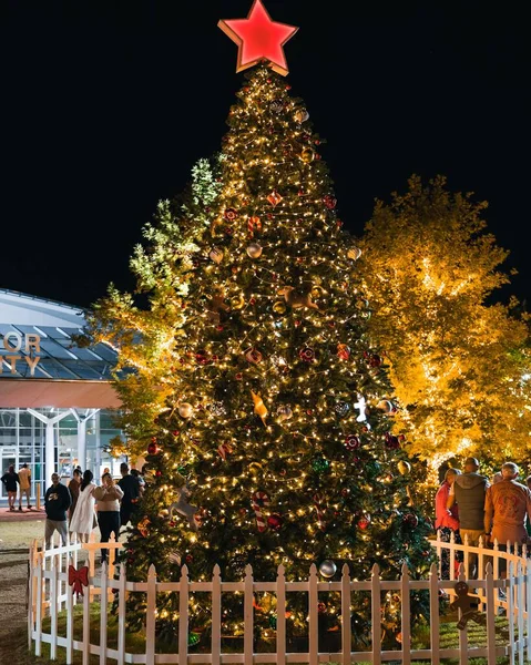 Tiro Vertical Uma Árvore Natal Iluminada Uma Cidade Noite — Fotografia de Stock