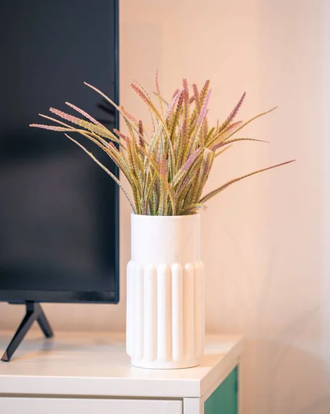 テレビの横の白い花瓶に装飾植物の垂直ショット — ストック写真