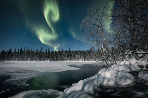 雪に覆われたモミの森の星空の中のオーロラは フィンランドのラップランドにある凍った湖で照らされています — ストック写真
