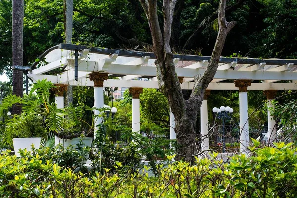 Salvador Bahia Brazilië Oktober 2022 Zicht Het Romeinse Monument Tuin — Stockfoto
