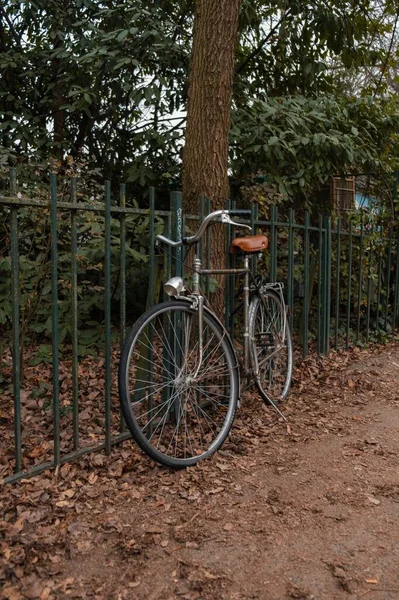 在一个宁静的公园里 一辆老式自行车的立柱停在高树前的大门口 — 图库照片