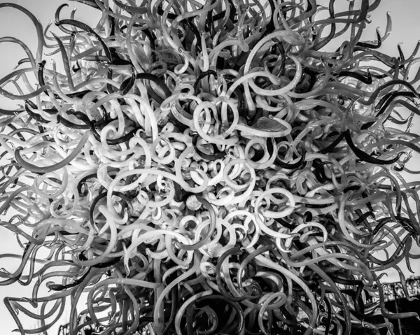 Сірий Знімок Скручування Сучасного Скляного Коралового Мистецтва Музеї — стокове фото