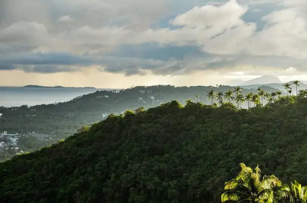 Eine Luftaufnahme Eines Wunderschönen Waldes Der Nähe Der Berge Samui — Stockfoto