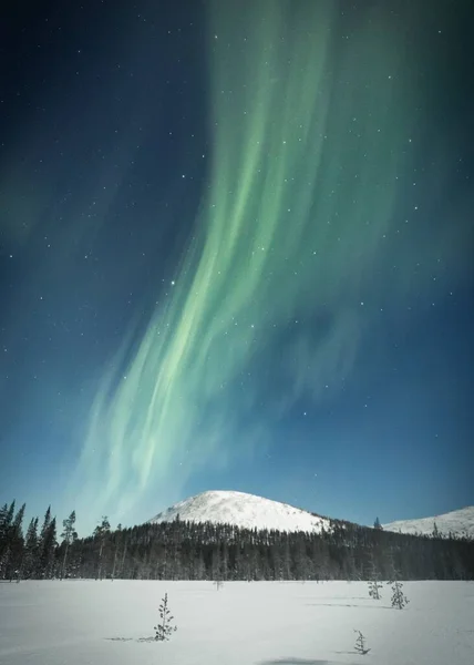 Vertikal Bild Polarnorrskenet Stjärnhimlen Den Snöiga Skogen Lappland Finland — Stockfoto