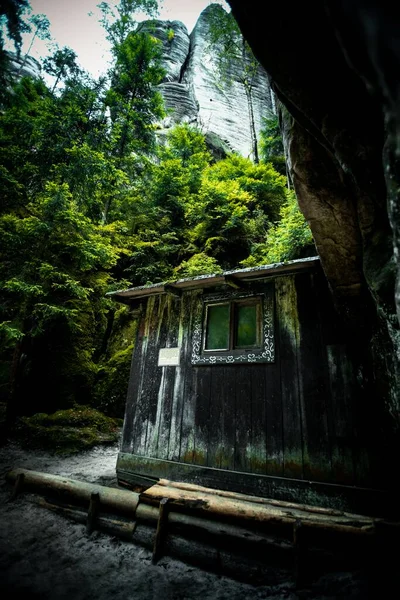 Vertikální Záběr Staré Opuštěné Chalupy Lese Obklopeném Divokou Přírodou — Stock fotografie