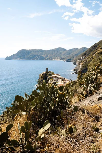 Vertical Shot Coastal Village Mountainous Islands Vernazza Cinque Terre Italy — Stock Photo, Image