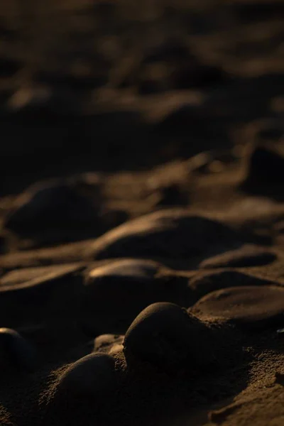 夕阳西下沙滩上圆形石头的垂直选择性焦点 — 图库照片