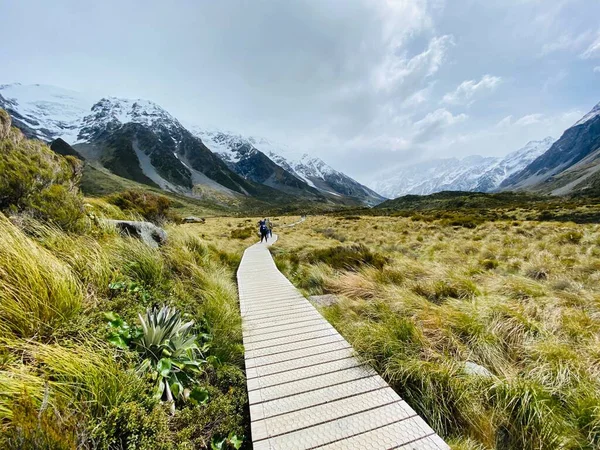 Promenáda Zeleném Údolí Obklopená Zasněženými Horami Mount Cook National Park — Stock fotografie