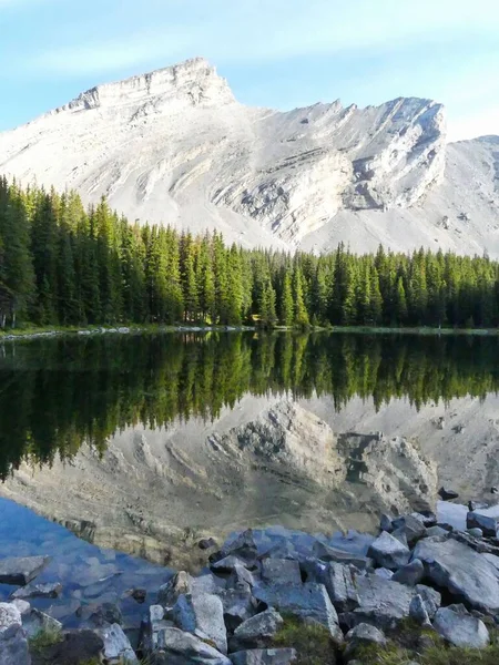 Plano Vertical Una Montaña Blanca Árboles Reflejándose Lago Sendero Pickle — Foto de Stock