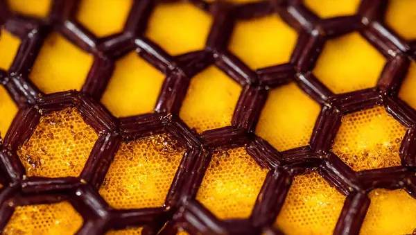 里面有金黄色蜂蜜的蜂窝状质感 — 图库照片