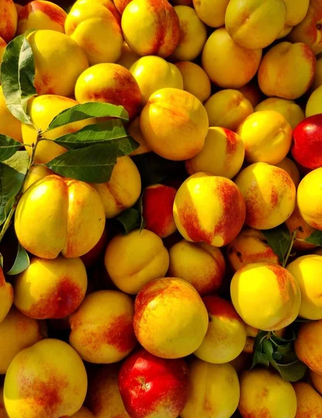 Smooth Outer Skin Fresh Nectarines Sparkling Sunlight Local Market Greece — Stock Photo, Image