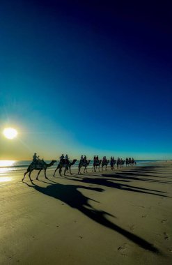 Bir grup insan deniz kıyısında deveye biniyor.