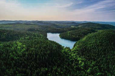 Gün doğumunda yeşil ağaçların olduğu bir ormanın ortasındaki güzel bir göl manzarası.