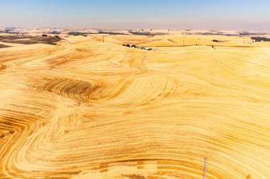 Yuvarlanan tepe yüzeyli biçilmiş buğday tarlasının güzel bir manzarası.