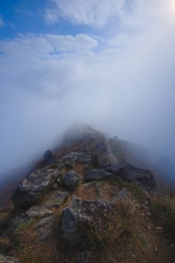 Gün boyunca yoğun sis ile çevrili dağın zirvesinin dikey görüntüsü.