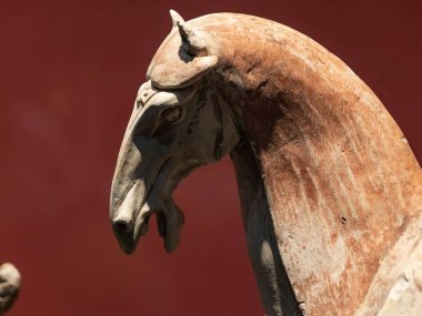 Doğu Asyalı bir atın kahverengi arka plandaki beyaz ve kahverengi kil heykeline yakın plan.