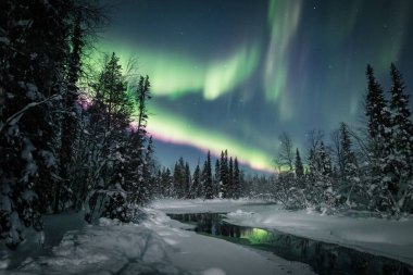 Finlandiya, Laponya 'da donmuş bir nehirle karlı köknar ormanında, yıldızlı gökyüzünde kutup ışıkları.