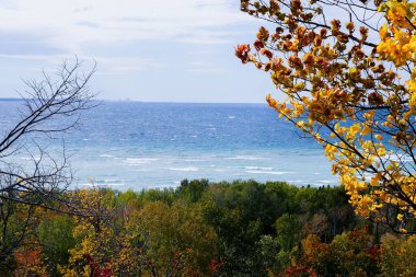 Kuzey Michigan 'daki Ağaç Tüneli' nin sularındaki tüm ağaçların güzel bir görüntüsü.
