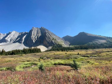 Güneşli bir günde, arka planda mavi gökyüzü olan güzel Chester Dağı, Alberta, Kanada