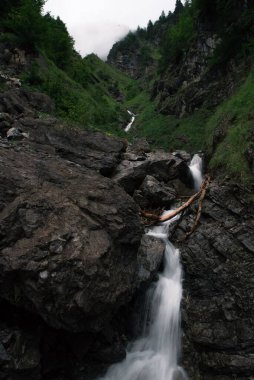 Vahşi bir ormandaki dağlık bir nehirde küçük bir şelale Vorarlberg, Avusturya dikey