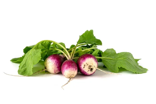 Closeup Raw Radish Isolated White Background — Stock Photo, Image