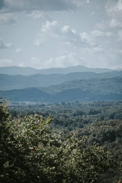 Krásný Výhled Zelené Stromy Lese Hory Pozadí — Stock fotografie