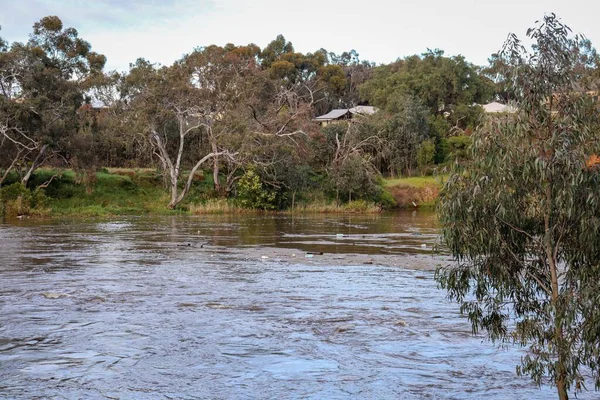 Сценарий Реки Верриби Результате Наводнения После Сильного Дождя Австралии — стоковое фото