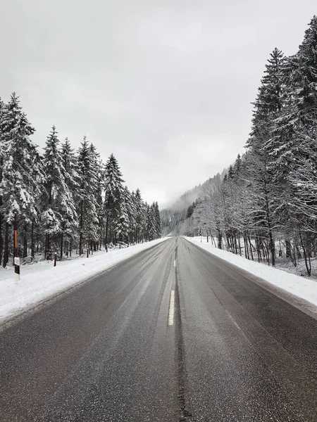 stock image A vertical shot of an empty highway between spruces covered in snow