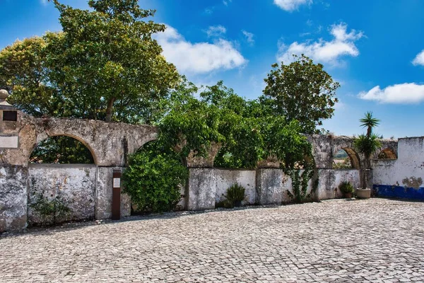 Стена Старой Крепости Историческом Центре Обидуша Португалия Покрыта Растениями — стоковое фото