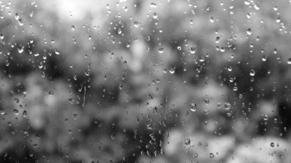 Eine Schwarz Weiß Aufnahme Von Regentropfen Fenster Auf Verschwommenem Hintergrund — Stockfoto