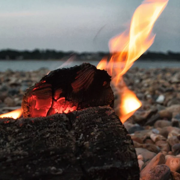 木々に囲まれた石や湖を背景に薪を燃やすシーン — ストック写真