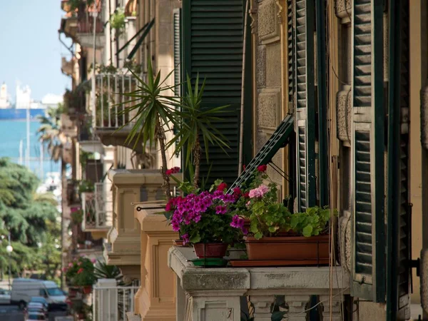A beautiful balcony of an Italian house with fresh plants and bloom flowers